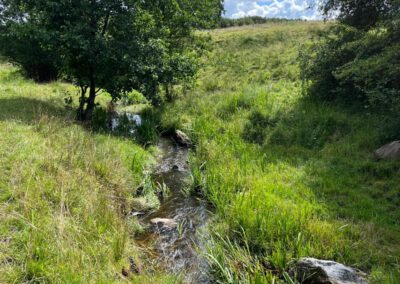 Gewässer im Verbandsgebiet des Wasser- und Bodenverband Langballigau